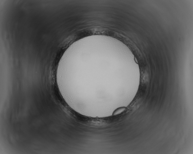 X0000086800666200705111836