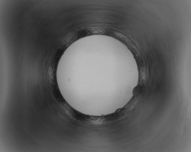 X0000086800667200705111836