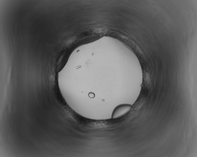 X0000086800668200705111836