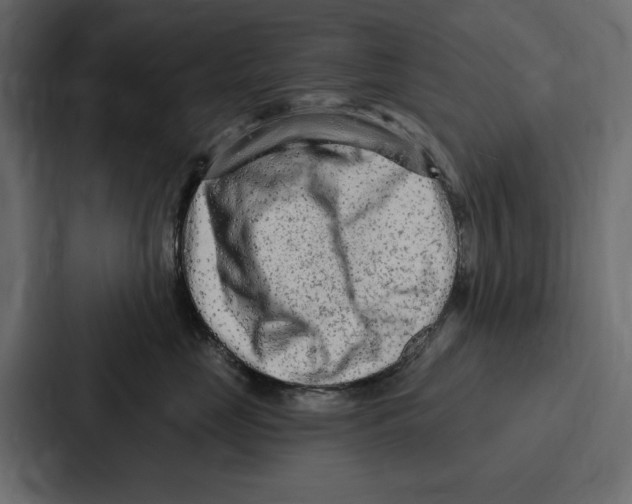 X0000086800669200705111836