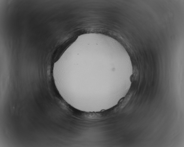 X0000086800670200705111836