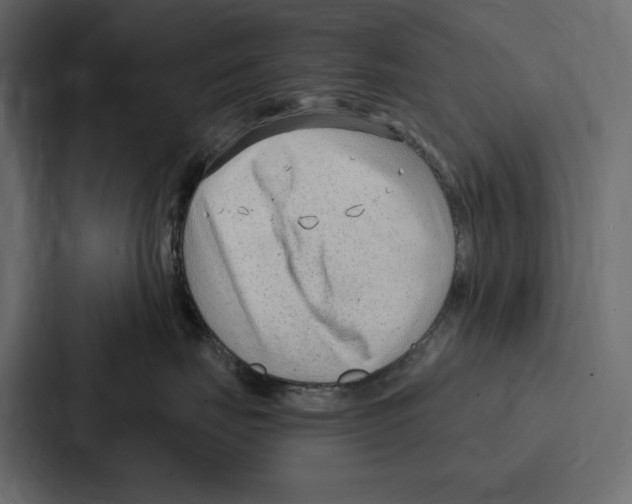 X0000086800671200705111836