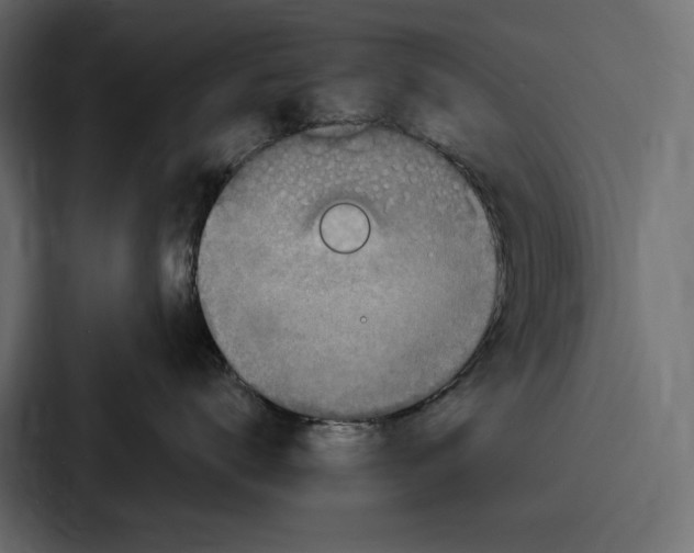 X0000086800672200705111836