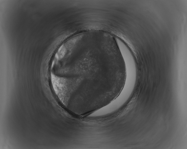 X0000086800673200705111836