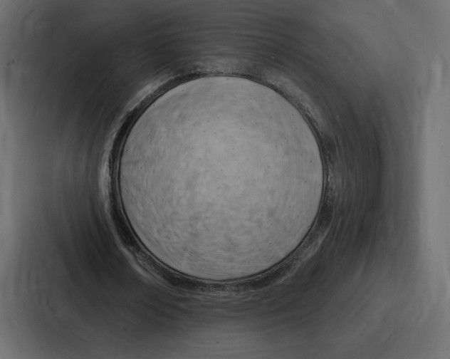 X0000086800674200705111836