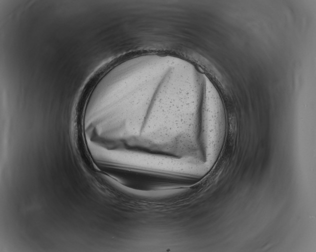 X0000086800676200705111836