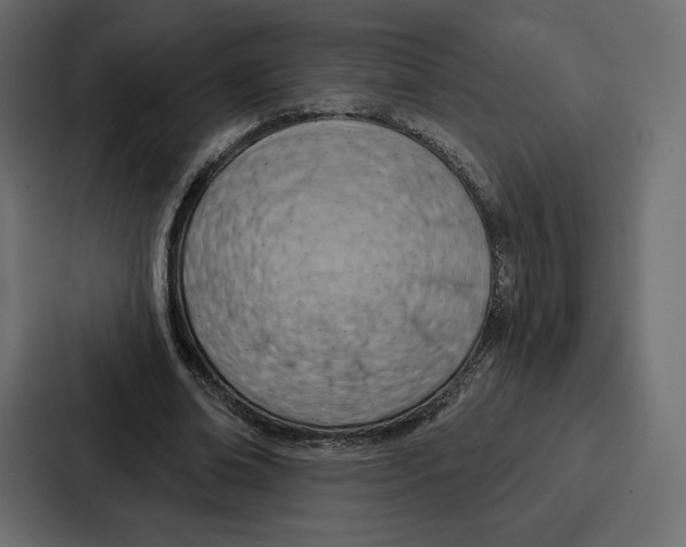 X0000086800678200705111836