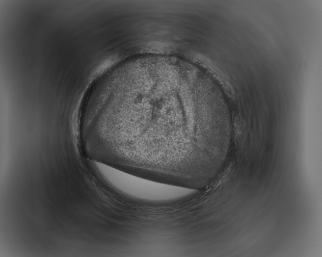 X0000086800679200705111836