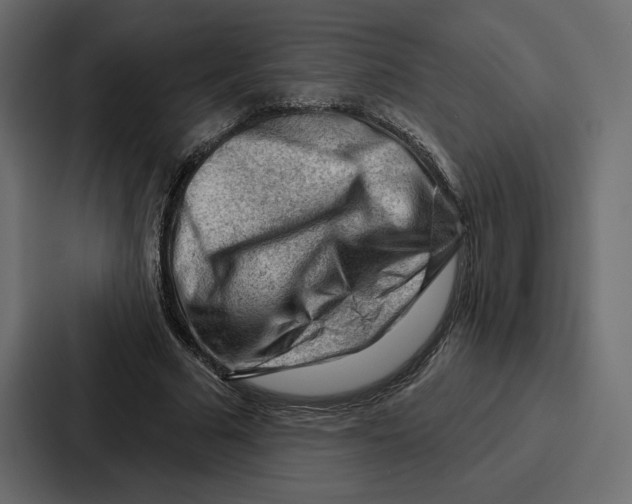 X0000086800681200705111836