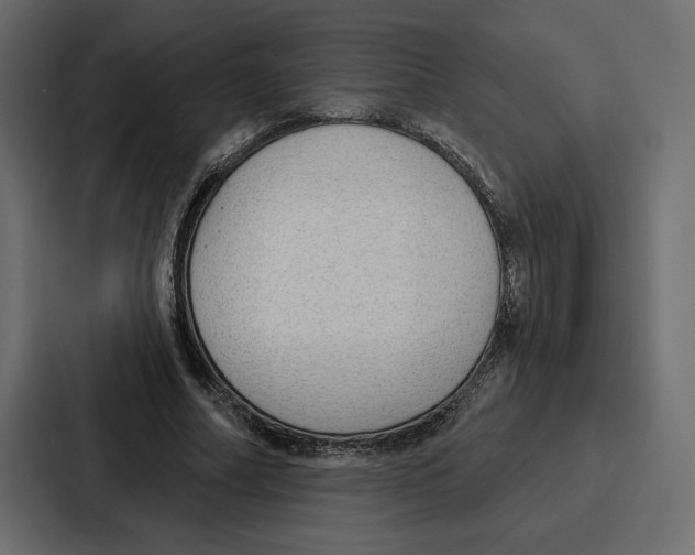 X0000086800682200705111836