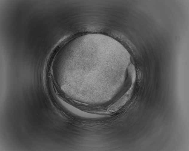 X0000086800684200705111836