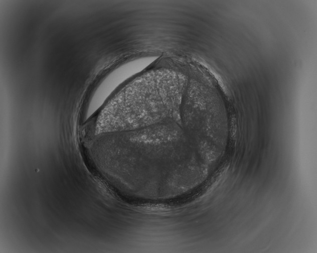 X0000086800685200705111836