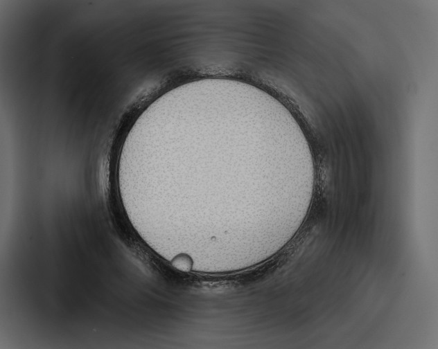 X0000086800686200705111836