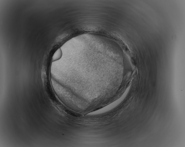 X0000086800688200705111836