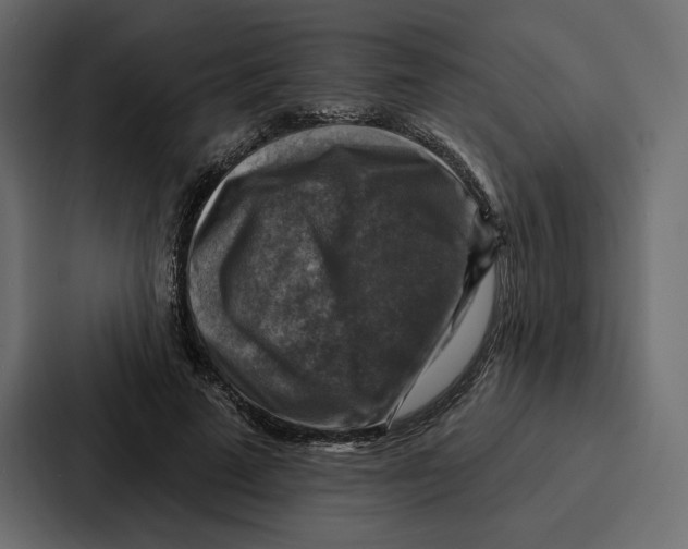 X0000086800689200705111836