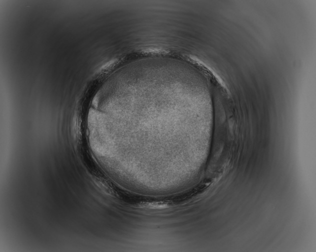 X0000086800692200705111836