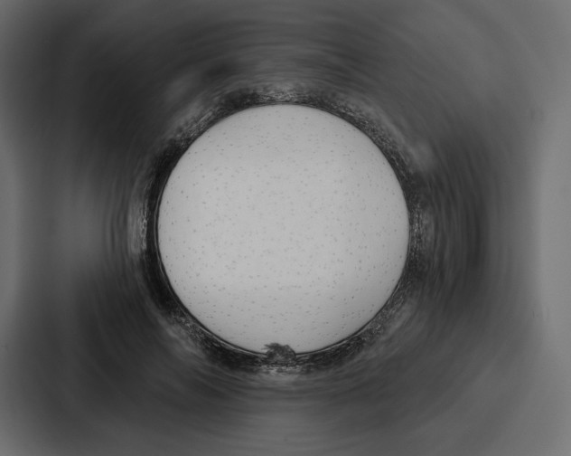 X0000086800694200705111835