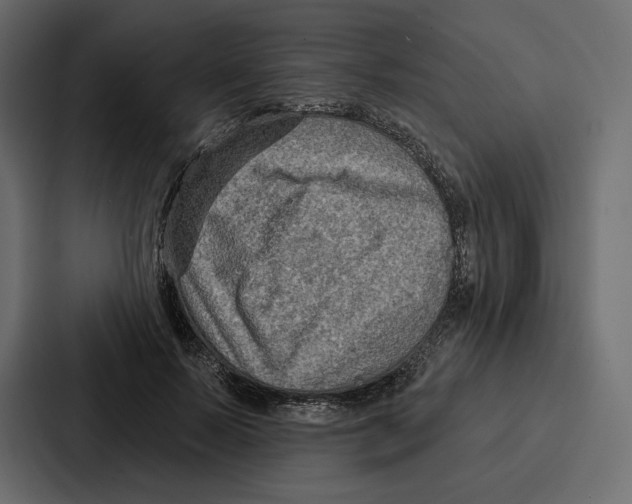 X0000086800695200705111835