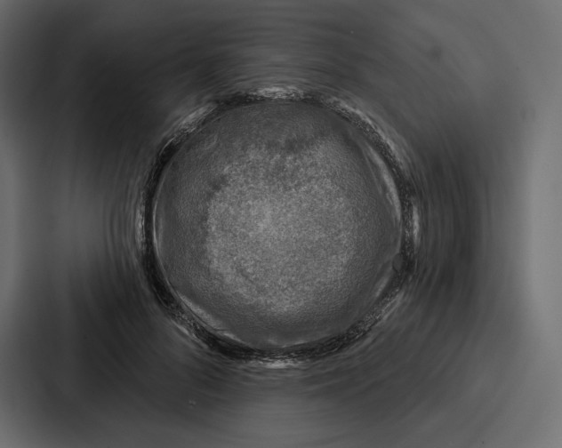 X0000086800696200705111835