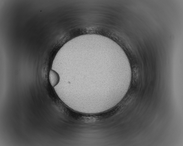 X0000086800698200705111835