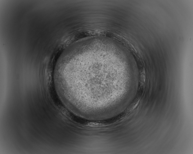 X0000086800699200705111835