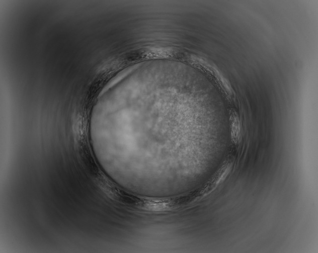 X0000086800701200705111835