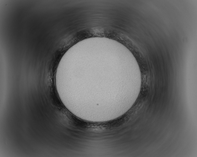 X0000086800702200705111835