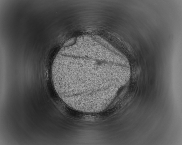 X0000086800703200705111835