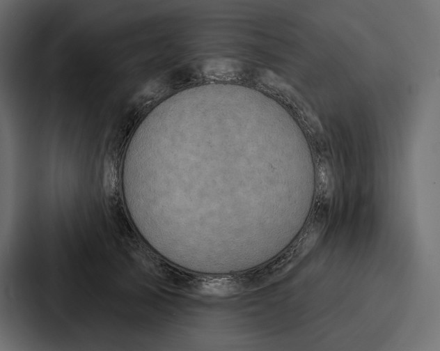 X0000086800705200705111835