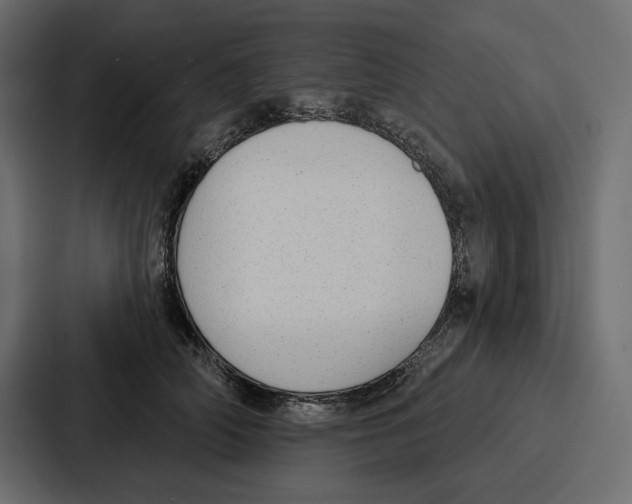 X0000086800706200705111835
