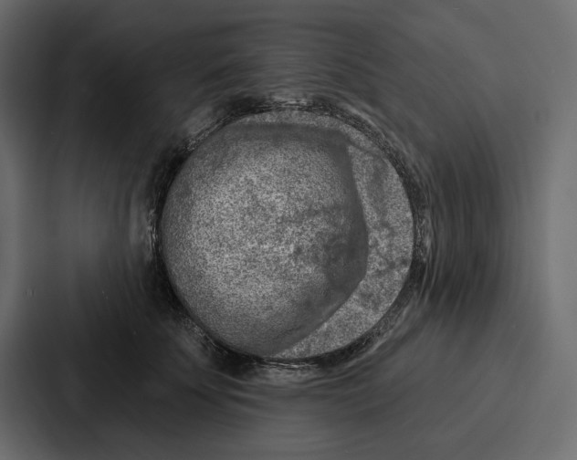 X0000086800707200705111835