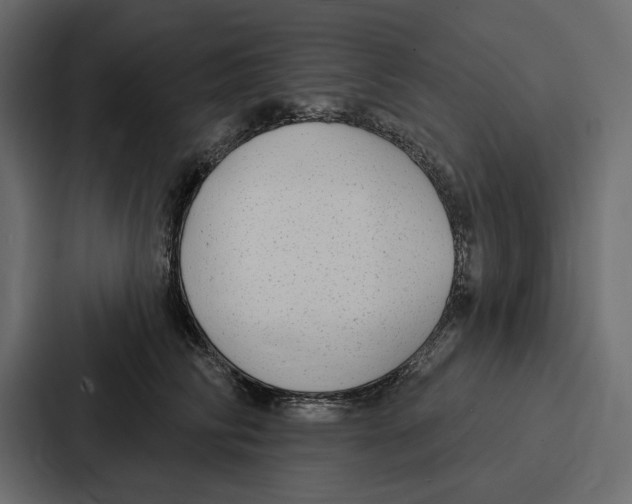 X0000086800710200705111835