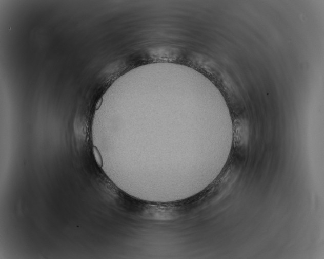 X0000086800713200705111835