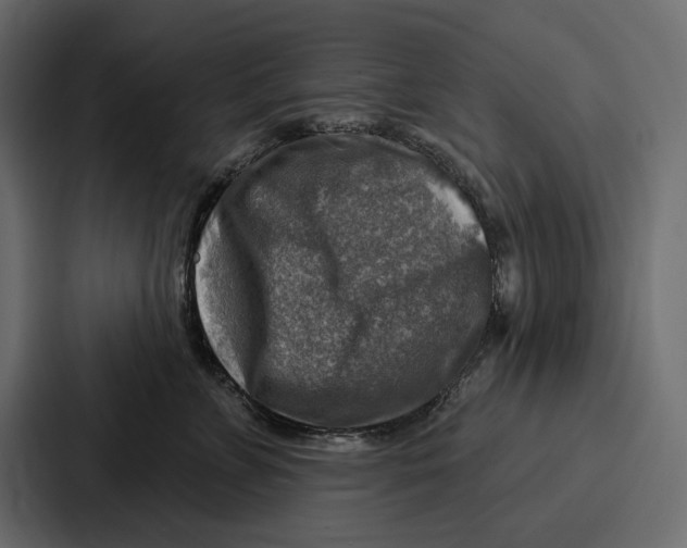 X0000086800715200705111835