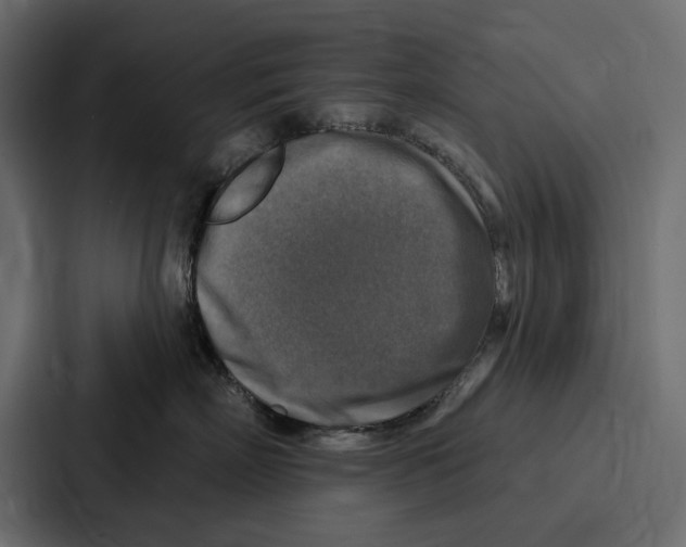 X0000086800718200705111835