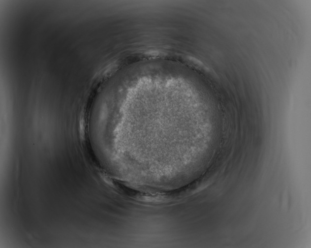 X0000086800720200705111835