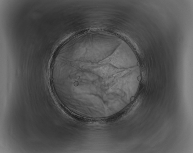 X0000086800721200705111835