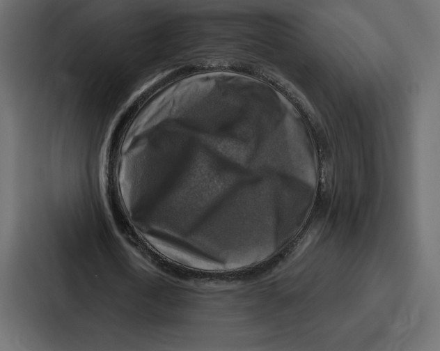 X0000086800722200705111835