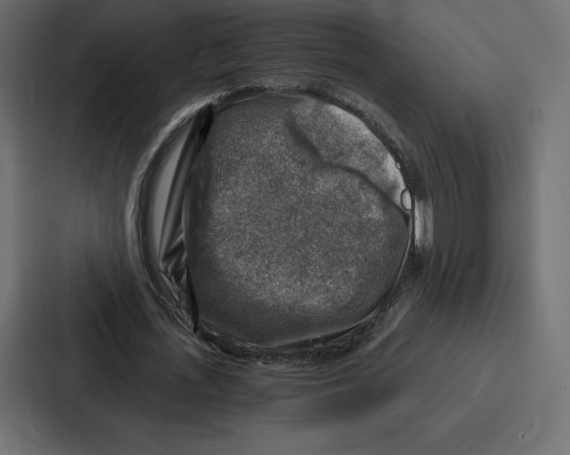 X0000086800723200705111835