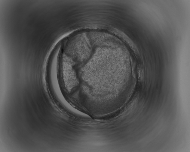 X0000086800724200705111835