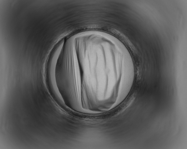 X0000086800725200705111835