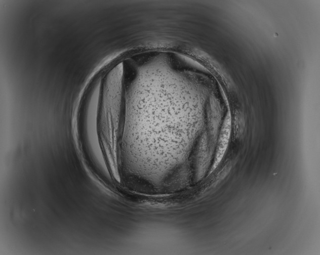 X0000086800726200705111835