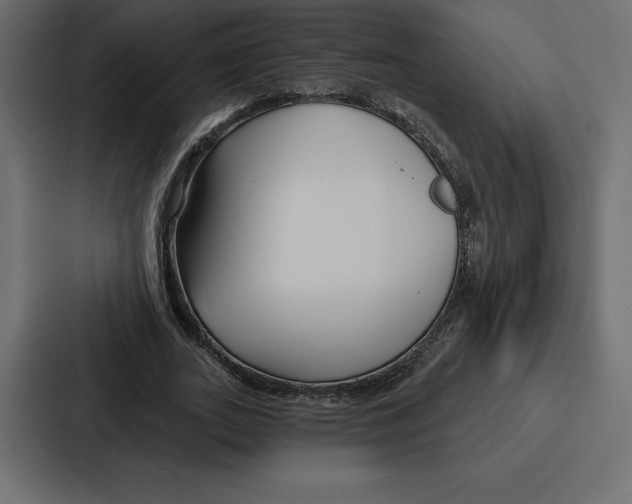 X0000086800727200705111835