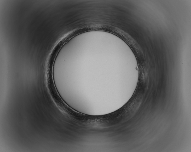 X0000086800728200705111835