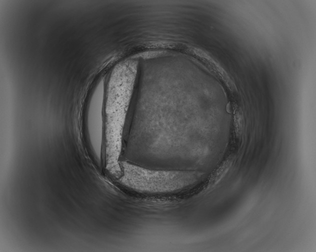 X0000086800729200705111835