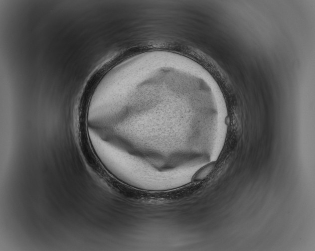 X0000086800730200705111835