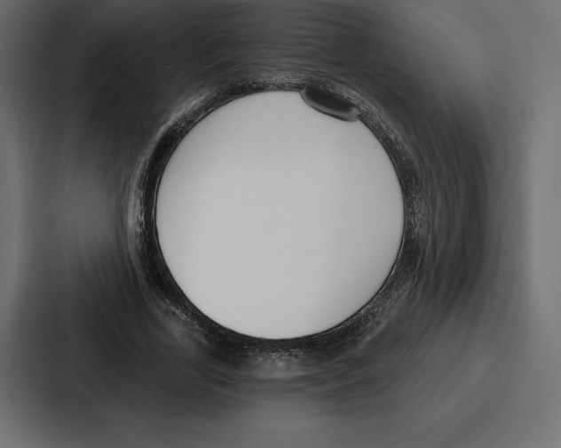 X0000086800731200705111835