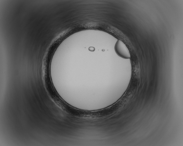 X0000086800732200705111835