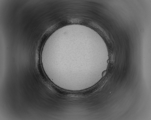 X0000086800733200705111835