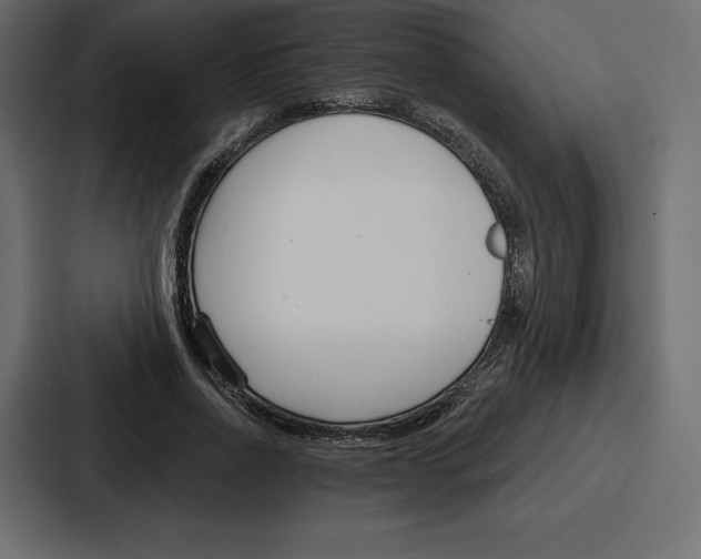 X0000086800734200705111835